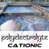 cationic polyelectrolyte